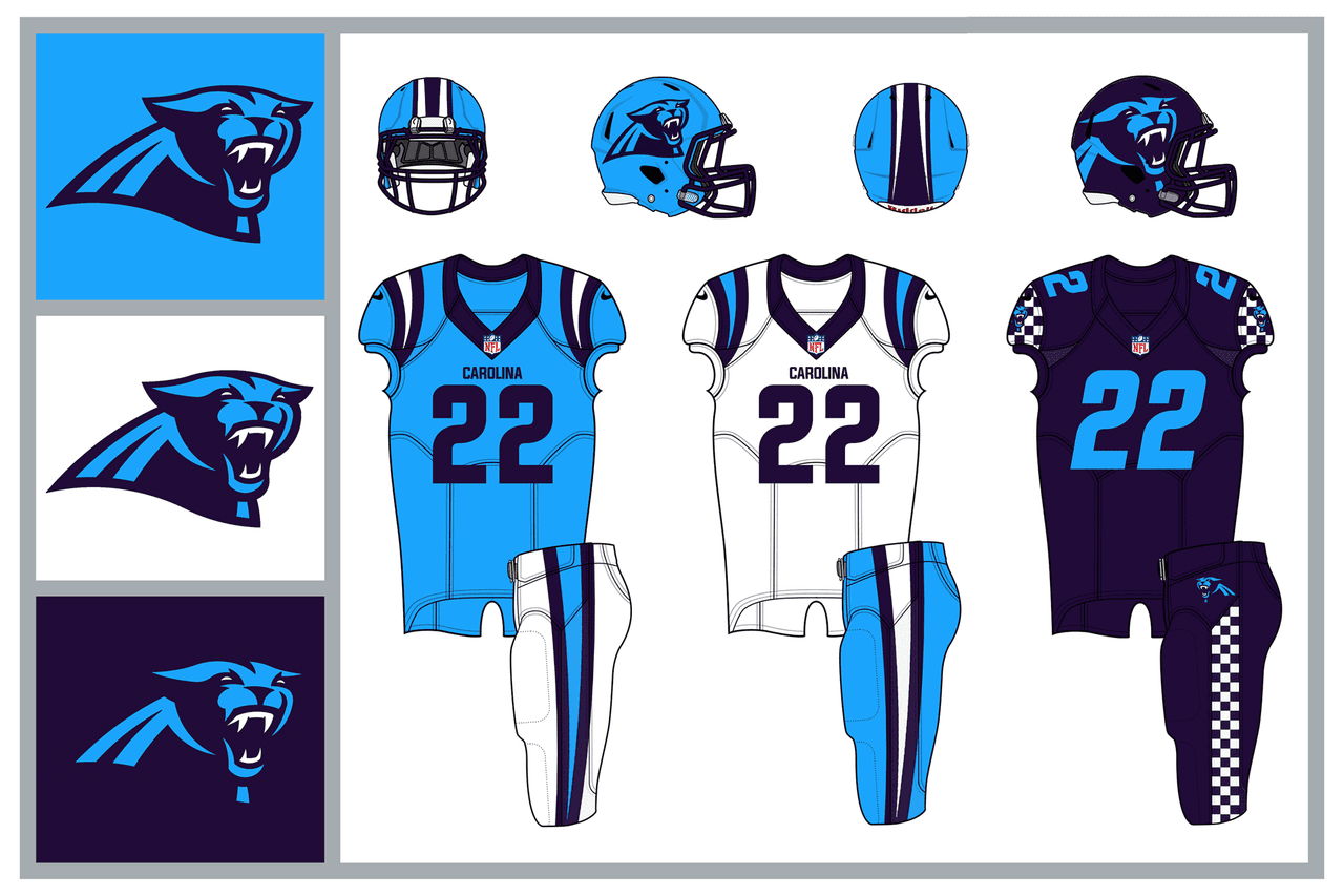 <b>NFC División Sur</b>
<br>Carolina Panthers