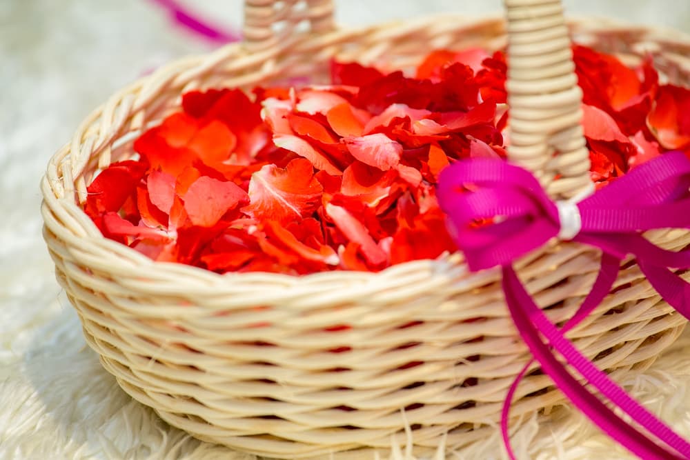 Carga en tu bolso o bolsillo con unos cuantos pétalos de rosas para que te sirvan de amuleto contra las malas vibras.