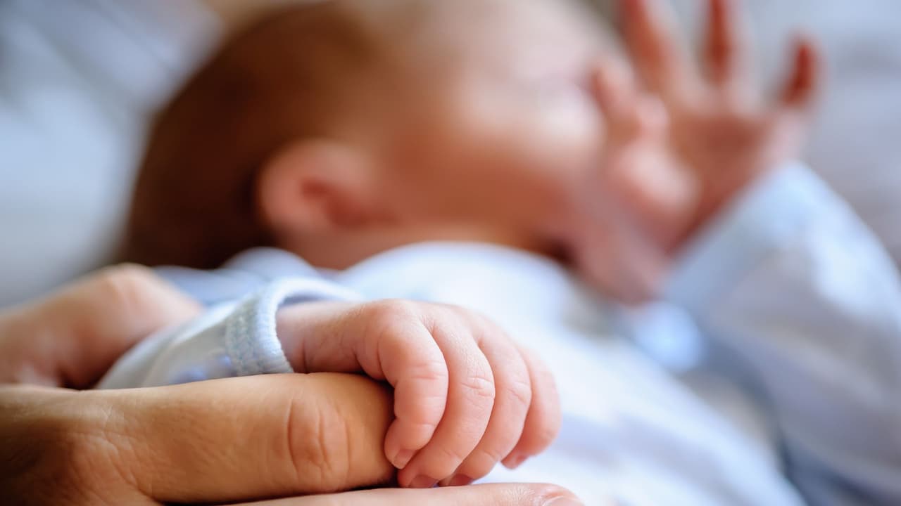 <h3 class="cms-H3-H3">Los nacimientos explican el futuro 🍼</h3> En Texas,
<b>casi la mitad de los nacimientos corresponden a madres hispanas</b>, eso no es un dato menor.
<br>👉🏻
<b>49.5% </b>según National Center for Health Statistics, Births: Final Data 2023.
<br>Significa que
<b>el futuro demográfico del estado es hispano.</b>
<br>Y que lo que pase hoy con
<b> prevención, alimentación y acceso médico importa más que nunca</b>.
<br>Menos chequeos hoy se traducen
<b> en muertes más tempranas mañana.</b>