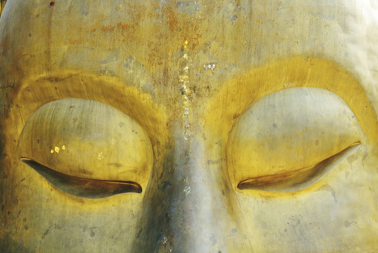 Buddha head