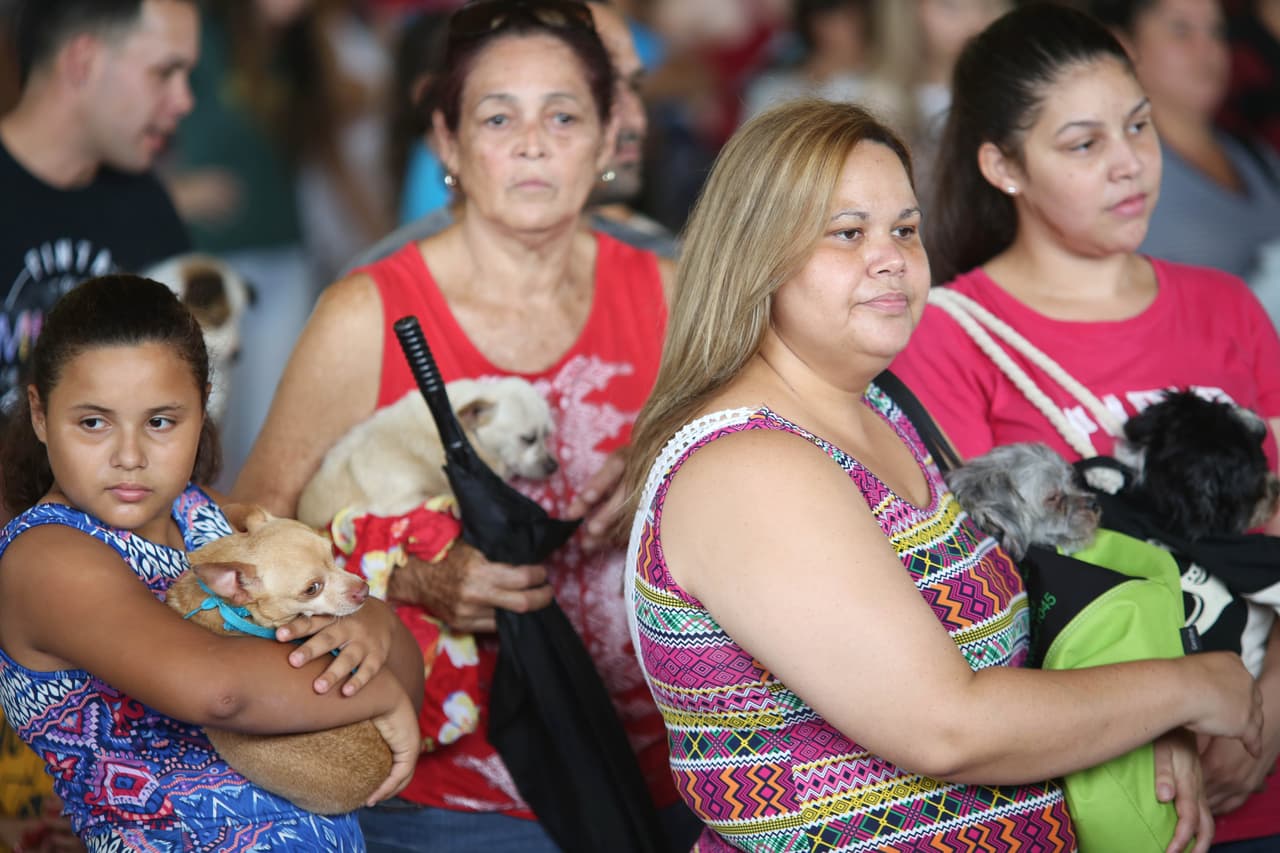 29 OCTUBRE 2017, QUEBRADILLAS BERRIO GUAJATACA, VACUNACION EN MASAPARA GATPS Y PERROS DE PARTE DEL COLEGIO MEDICO VETERINARIO DE PUERTO RICO Y FUNDACION DE VETERINARIO DE MIAMI YA QUE SE DETECTARON 2 CAOS EN PERROS DE LEPTOSTIROSIS, Y ESTABLECERAN PRIMER CENTRO DE VIGILACIA EN LA CUANCA DEL GUAJATACA EN LA FOTO EL DOCTOR HECTOR ROMAN