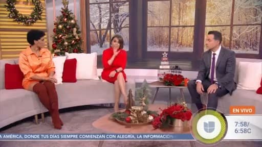 Se mostró feliz en esta nueva etapa a través de 'La Casita Más Feliz' de la televisión.