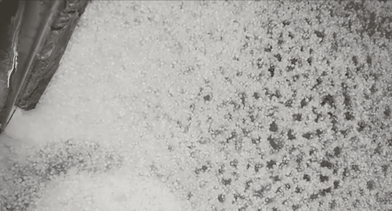 Yara Lasanta, meteoróloga de Univision 34 Los Ángeles
<a href="https://www.univision.com/local/los-angeles-kmex/el-granizo-cubre-de-blanco-zonas-del-sur-de-california-video" target="_blank">explicó</a> que el fenómeno es resultado del paso de un sistema de baja presión.