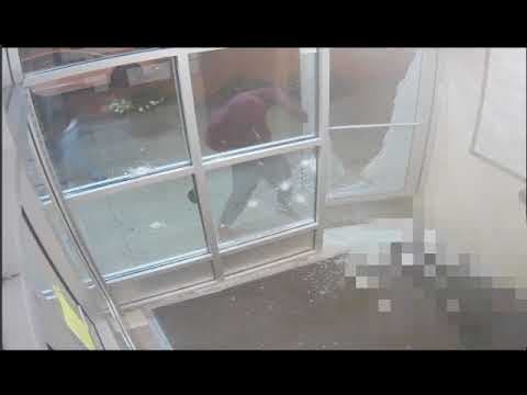 Murder of FiF Money Caught On Camera