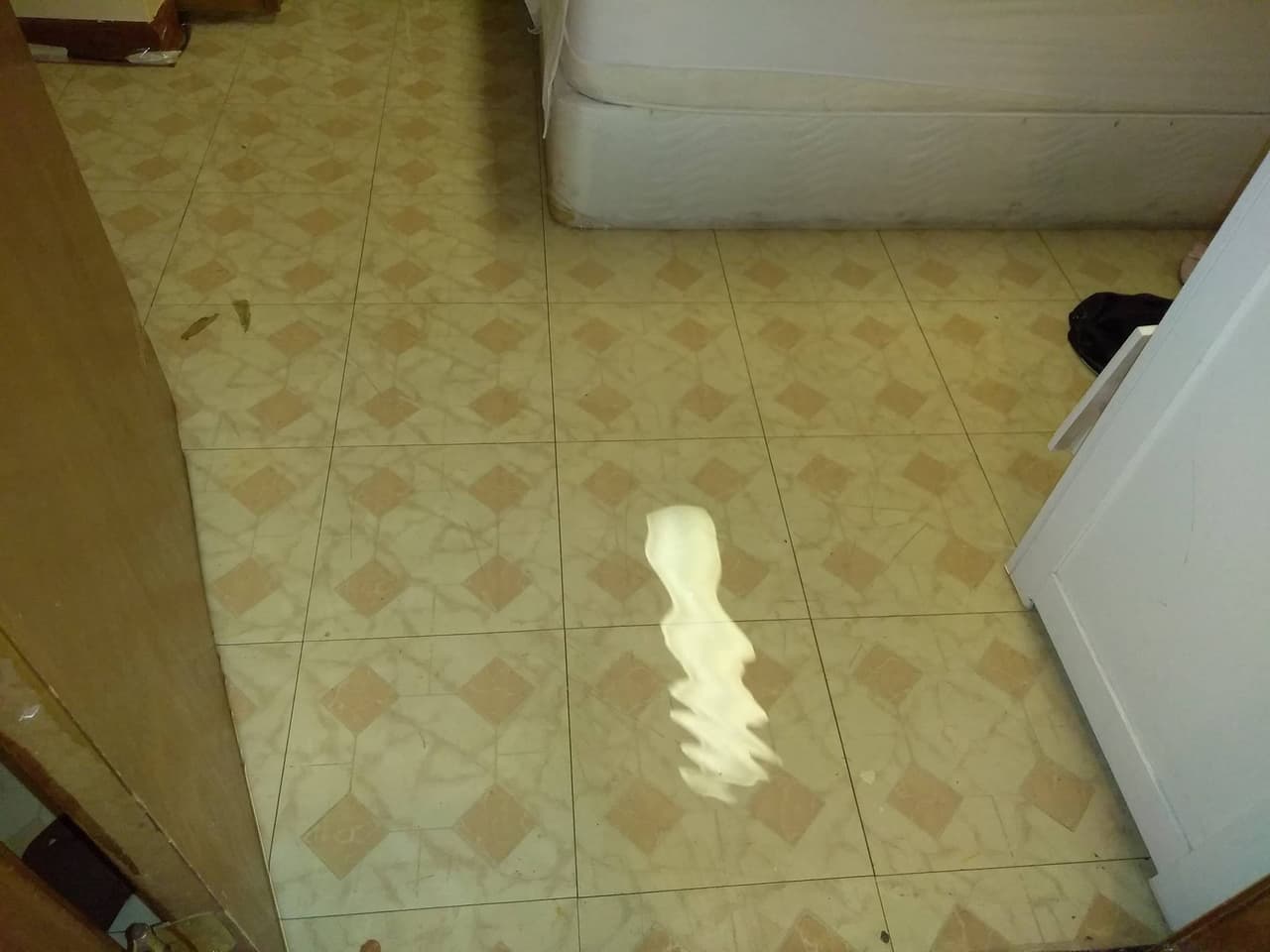 Se prevé que las tormentas continúen desarrollándose en el área central de Chicago. En el transcurso de la tarde, algunas tormentas se irán moviendo hacia al sur y otras hacia el oeste.