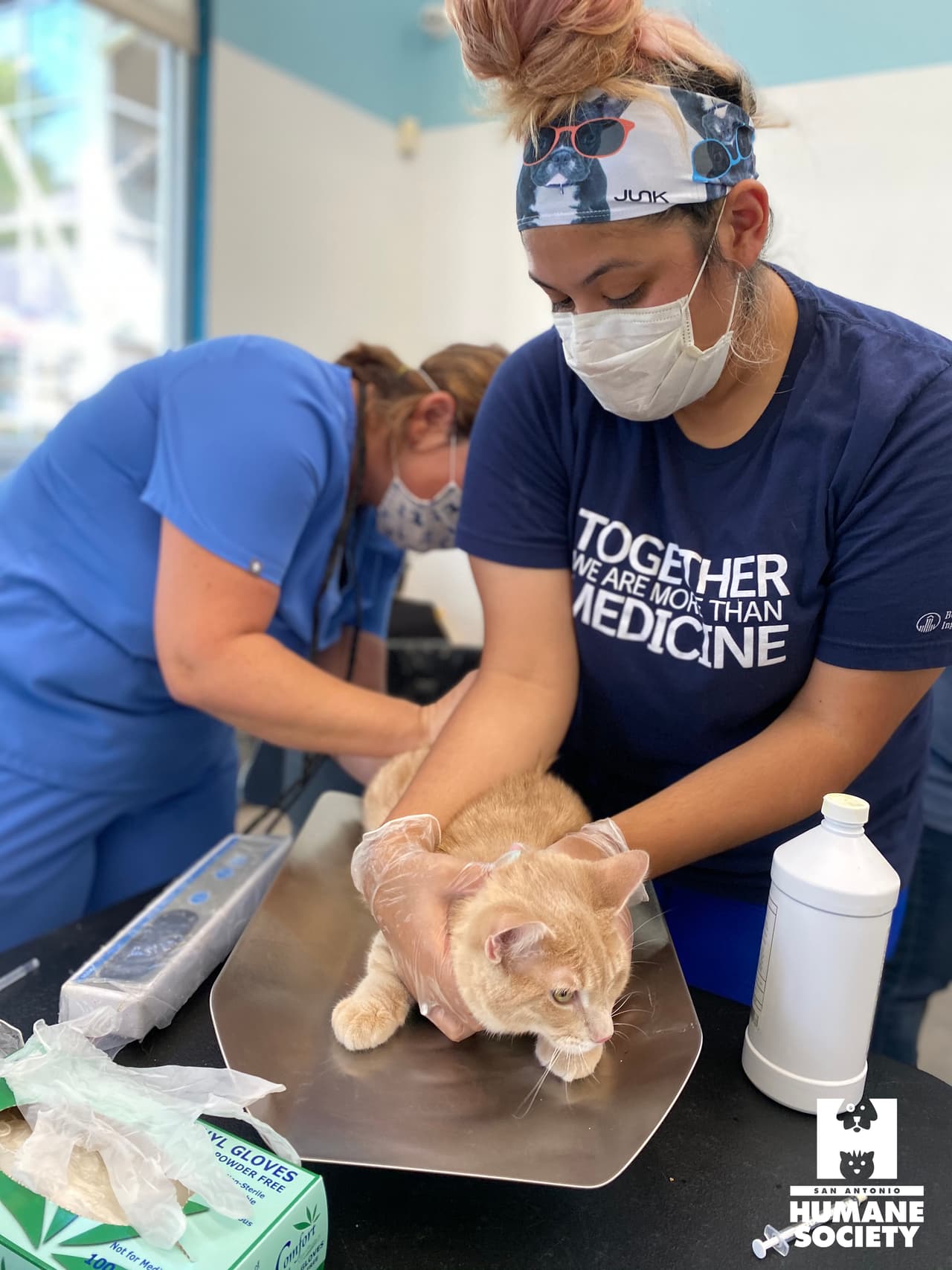 Laura hizo contacto como huracán
<b>categoría 4</b>, con vientos de hasta 150 millas por hora, pero
<b>se degradó hasta la categoría 2</b> conforme avanzó su paso en dirección al norte por la franja occidental de
<b>Luisiana </b>a una velocidad de desplazamiento de 15 millas por hora.
<br>