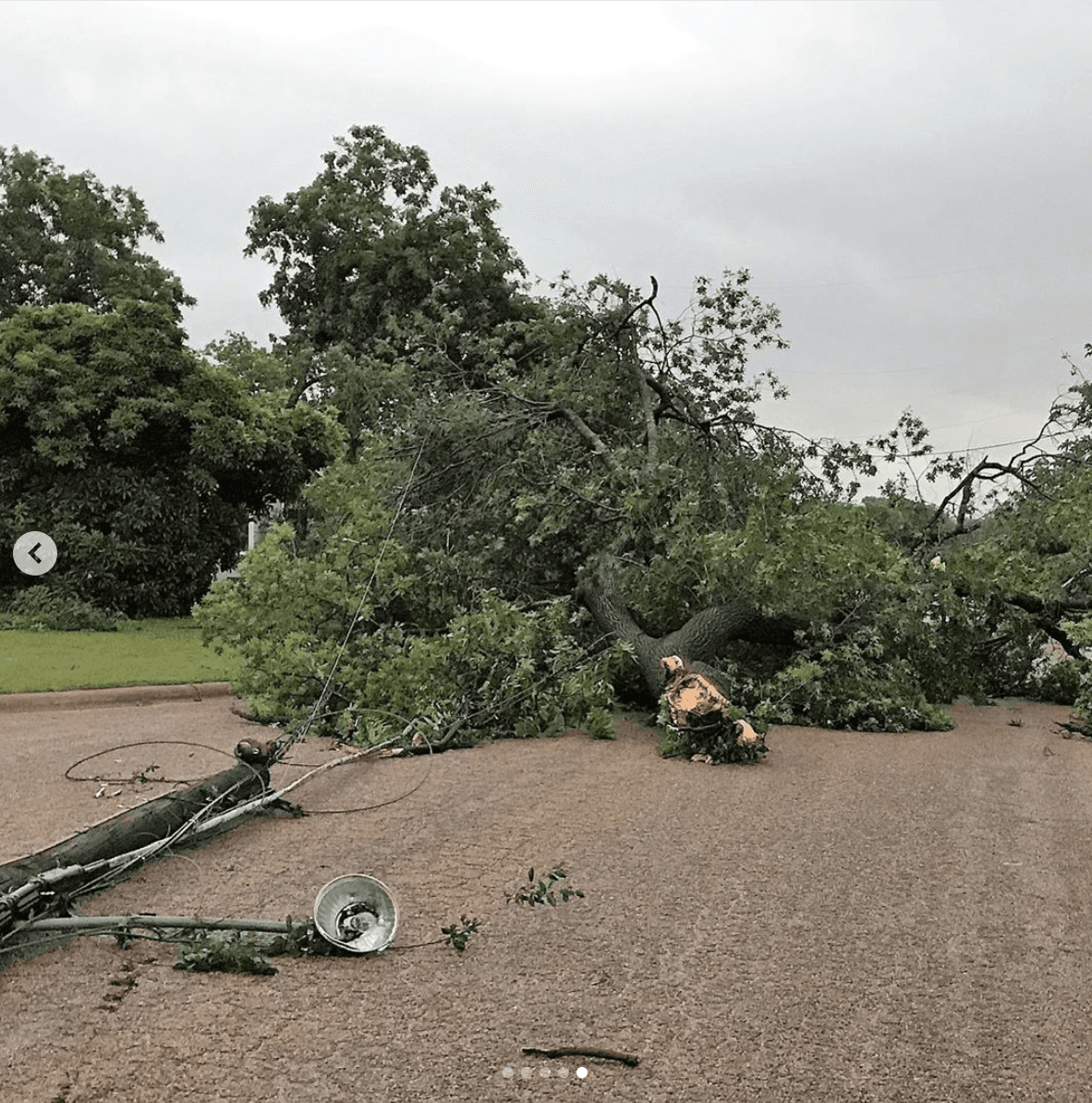 Varios árboles fueron derribados en la ciudad de Abilene, Texas donde luego el Servicio Nacional de Metereología confirmó la presencia de un tornado.