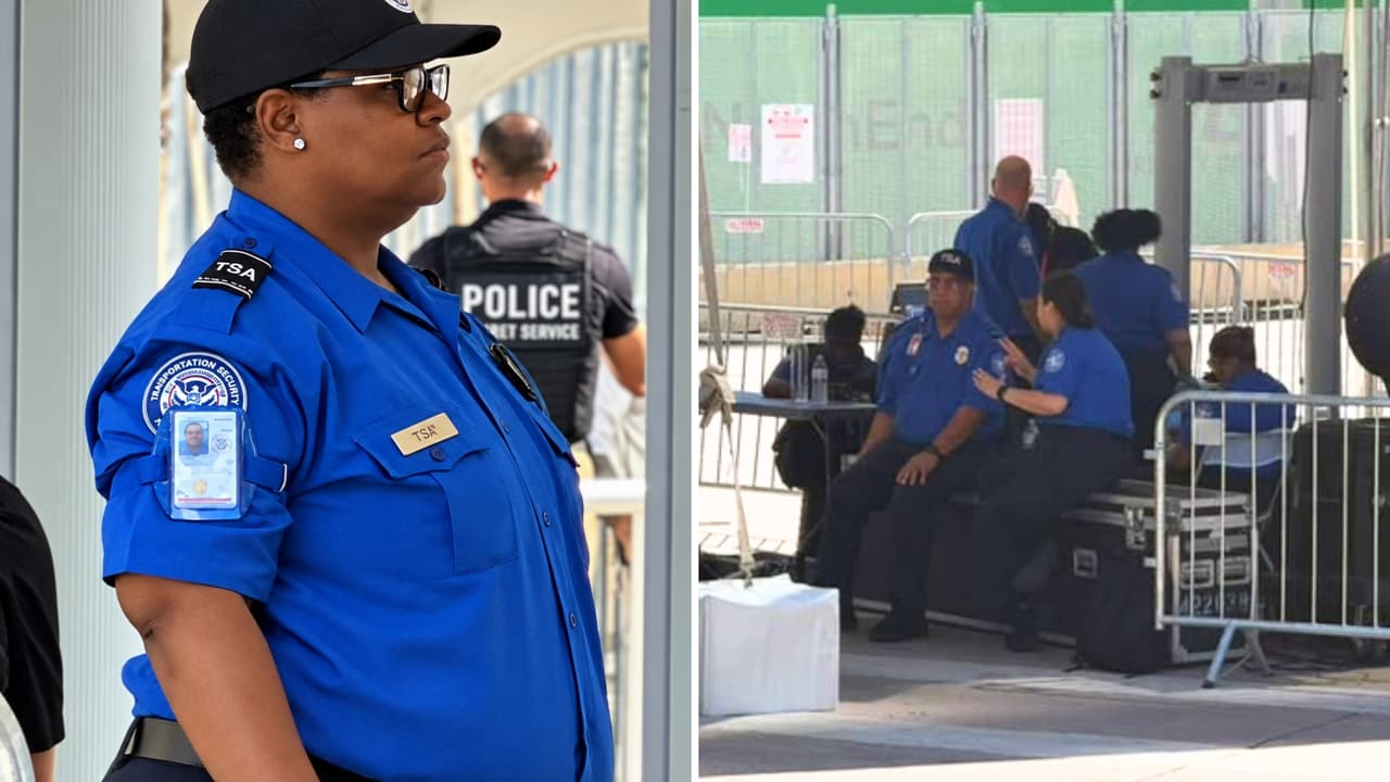 Aunque su trabajo es principalmente en los aeropuertos, la ley que creó a la Administración de Seguridad en el Transporte (TSA) en 2001, permite que el Departamento de Seguridad Nacional pued requerirle aportar personal para revisiones en eventos especiales.
<br>
<br>En esos casos, es el
<b>Servicio Secreto</b> el cuerpo que asume la
<b>coordinación federal</b>.
