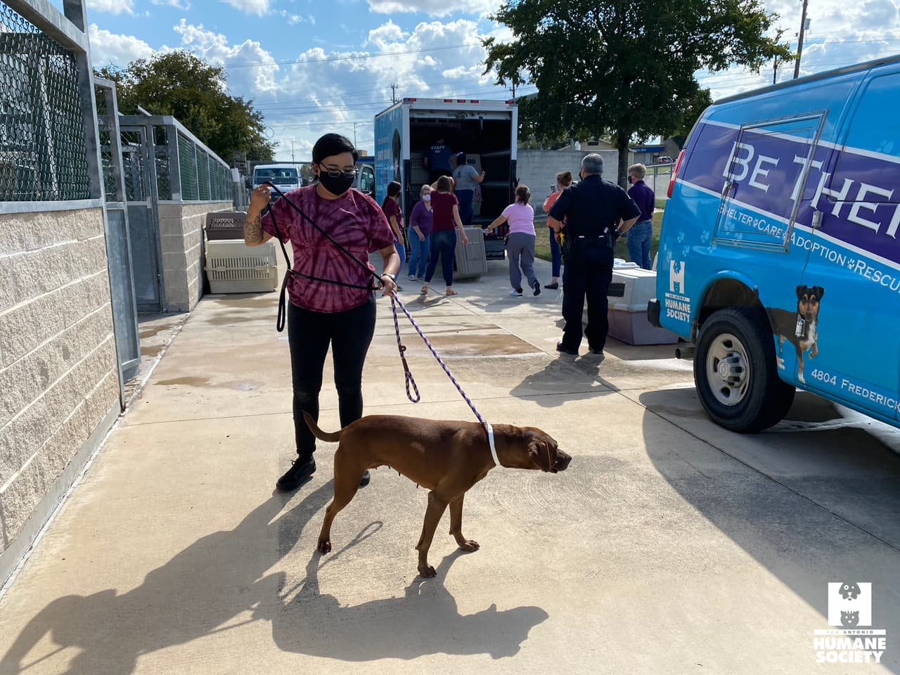 El primer grupo de mascotas, 20 perros y 10 gatos, fueron trasladados en avión desde el Refugio de Animales de la Parroquia de Jefferson en Nueva Orleans a San Marcos, Texas, con la ayuda de Wings of Rescue.