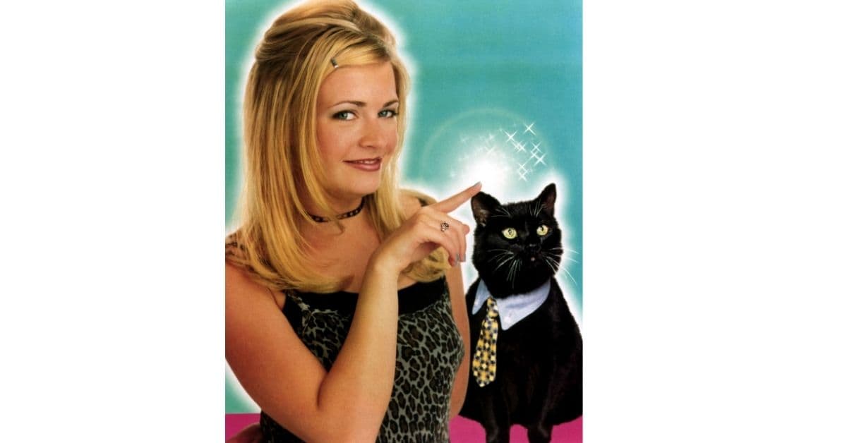 'Salem Saberhagen', el gato de 'Sabrina, la bruja adolecente'.