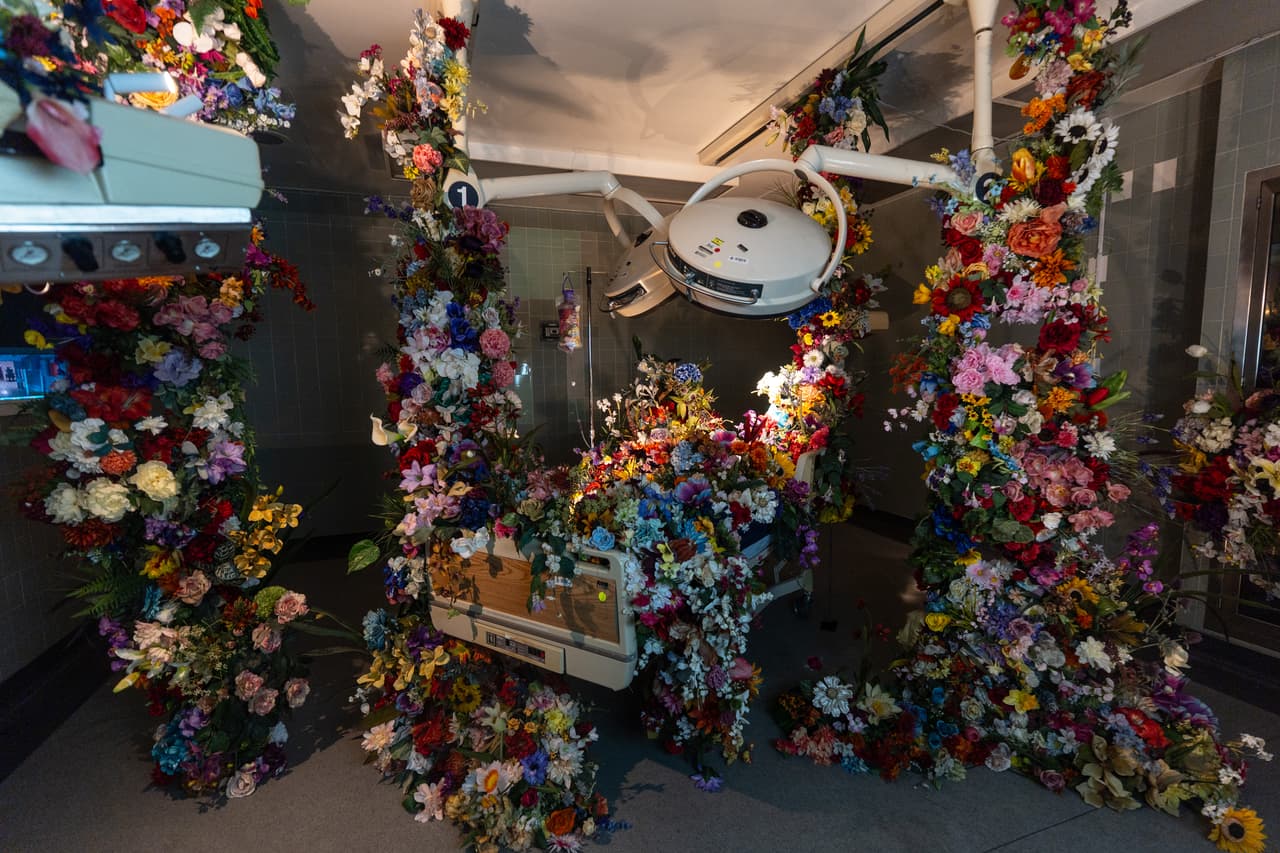 Una instalación botánica de la artista Lisa Waud titulada "DRIP" se exhibe durante la exposición "Hospital de las Emociones" en un antiguo edificio hospitalario de Los Ángeles, el miércoles 22 de julio de 2026. (Foto AP/Jae C. Hong)