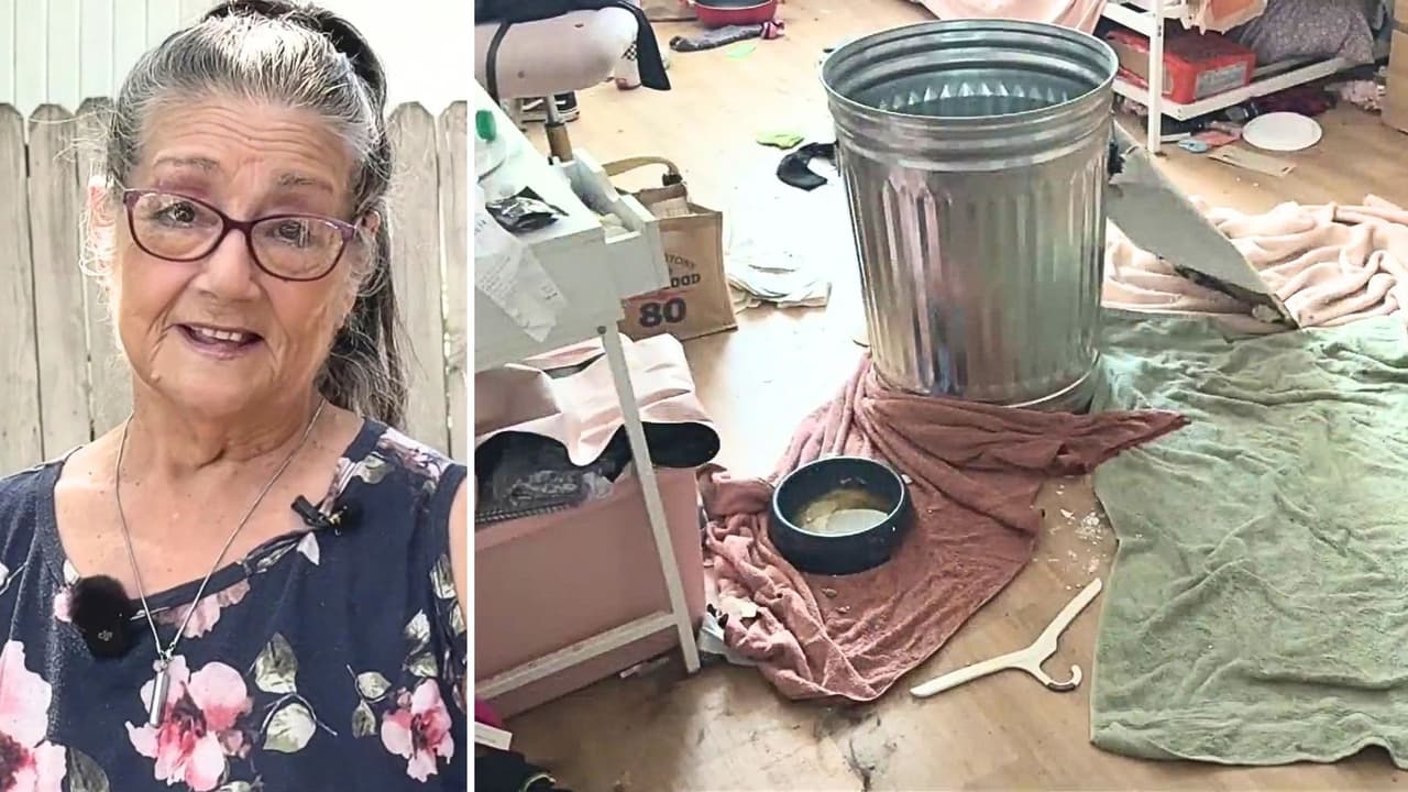 "Ahora no tengo nada": una tormenta destroza su casa y ahora mujer de la tercera edad teme que vuelva a llover