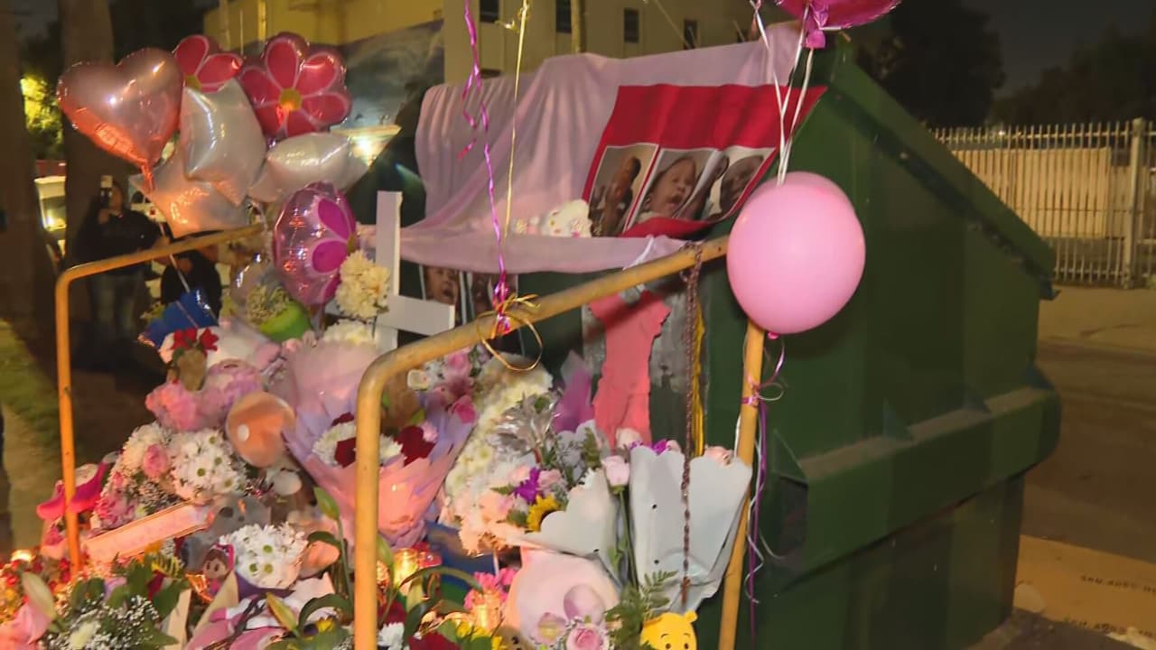 La madre de la bebé Luna quedó ingresada en el Centro de Detención Regional Century, en Lynwood. Falta por conocerse aún la causa oficial de muerte de la pequeña, un asunto que será expuesto al
<b>concluir el proceso de autopsia</b>.