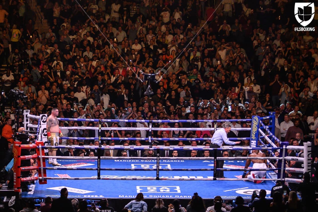 ¡Histórico! Andy Ruiz llevó a la lona a Anthony Joshua en cuatro ocasiones y para el séptimo el inglés no pudo más. El 'Destroyer' es el primer campeón mundial de peso completo en la historia de México.