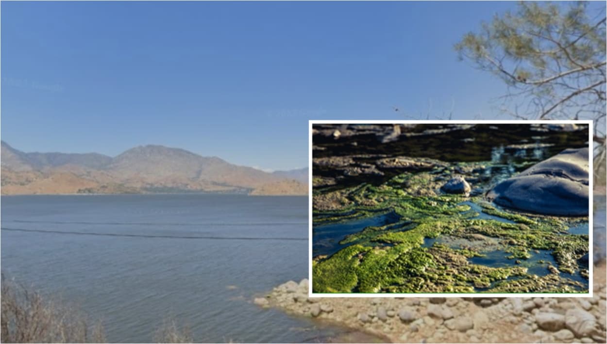 Advierten a nadadores sobre algas tóxicas que puede perjudicar la salud en el lago Isabella