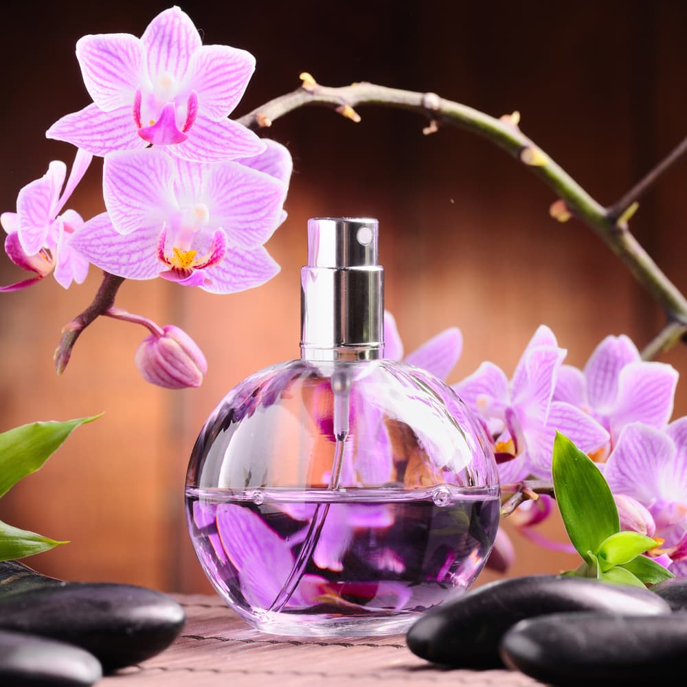 <b>Leo</b>
<br>Te recomiendo que uses un perfume con aroma a orquídeas y rosas, este te ayudará a clamar y tranquilizar tu sistema nervioso. La fragancia de lilas y violetas crearán un halo de misterio y pasión a tu alrededor.
<br>