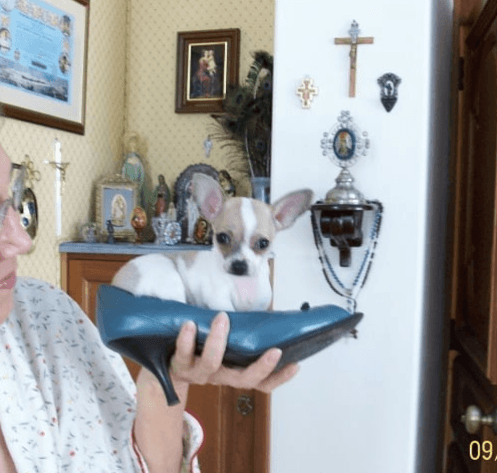 Florinda Meza pierde a un miembro de su familia