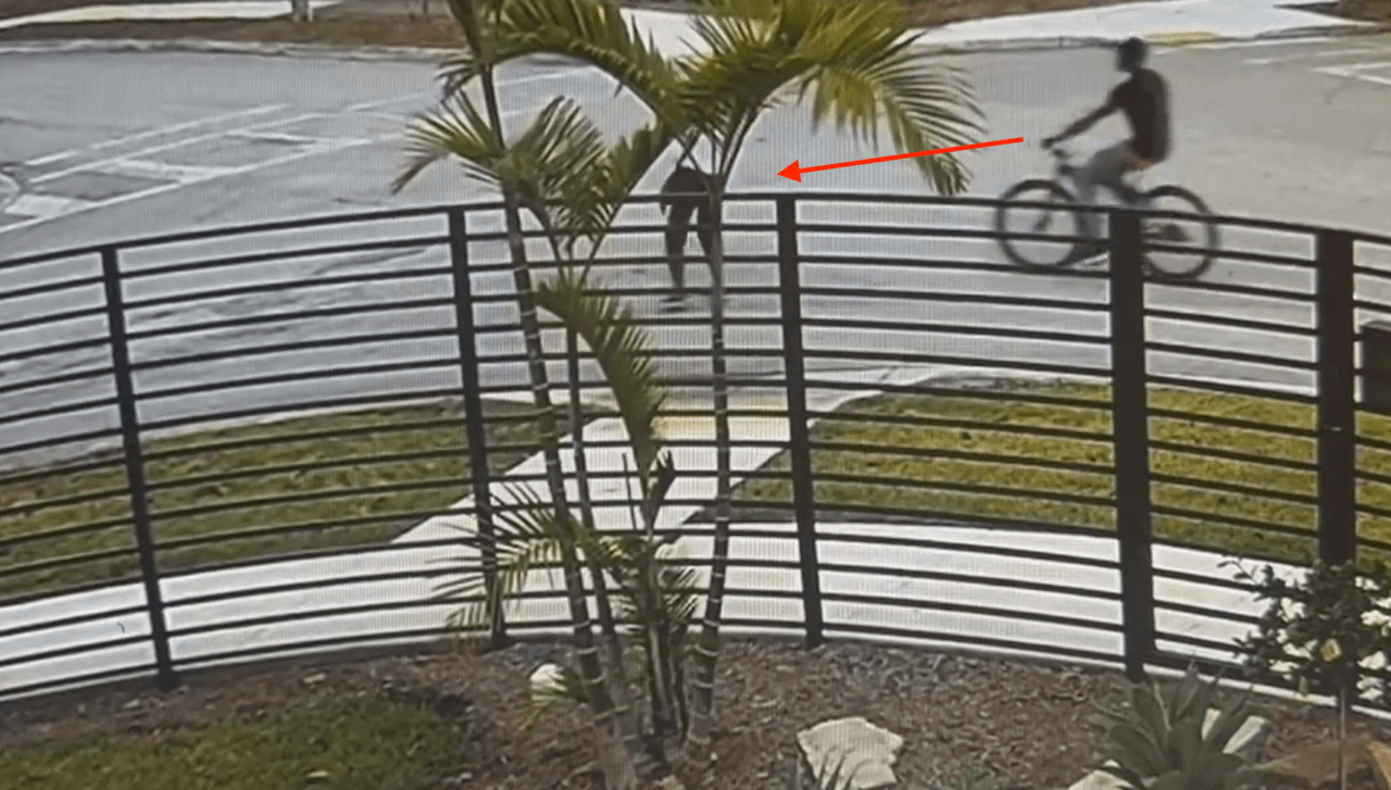 “No se puede vivir con temor, uno tiene que salir a la calle, hay que salir a caminar y hacer ejercicio porque uno tiene que vivir”, dijo la víctima de 74 años, luego que la asaltaron.