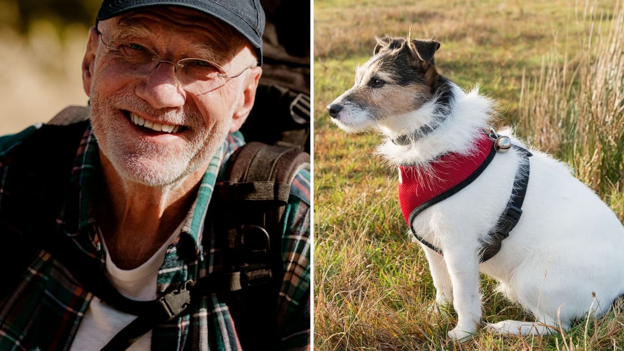 Perrita custodió el cuerpo de su amo por meses tras morir mientras hacía senderismo: conoce la historia