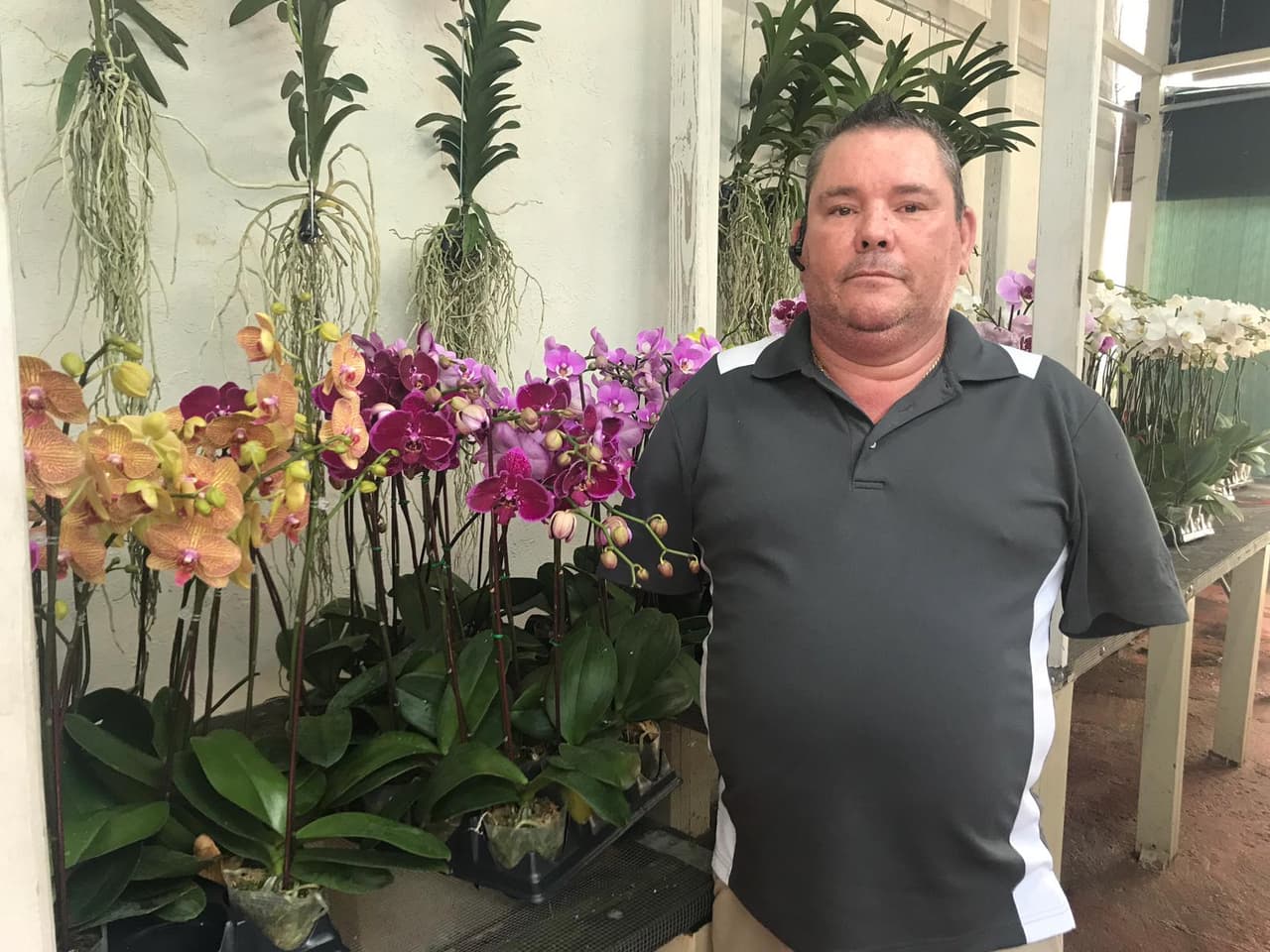 Jorge Albart Rodríguez es un cubano muy conocido en Miami y uno de los propietarios de La Casa de las Orquídeas. Lleva 10 años con el negocio.
<br>
<br>