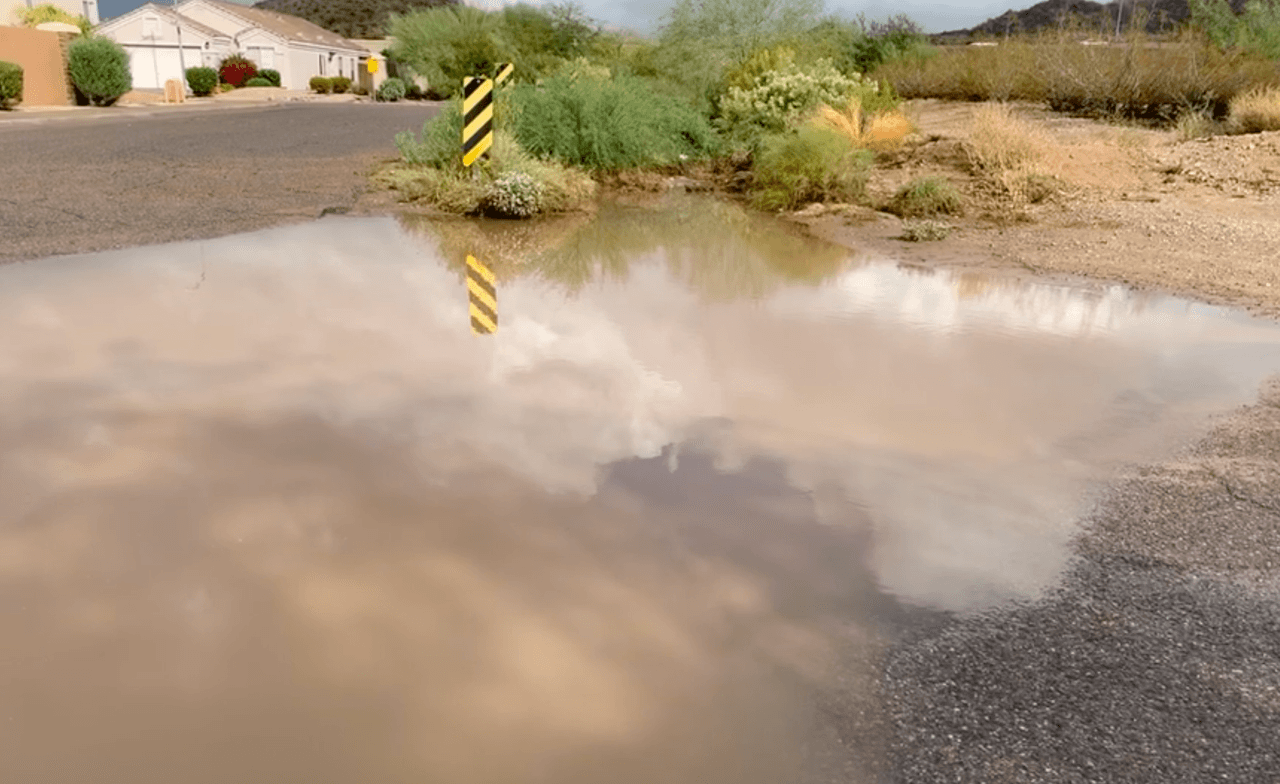 El departamento de policía empujando un vehículo fuera del agua en este vecindario de la calle 14 y Wahalla.