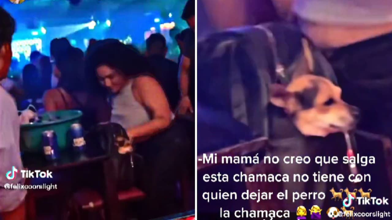 Chica se llevó a su perro a club nocturno y se hace viral