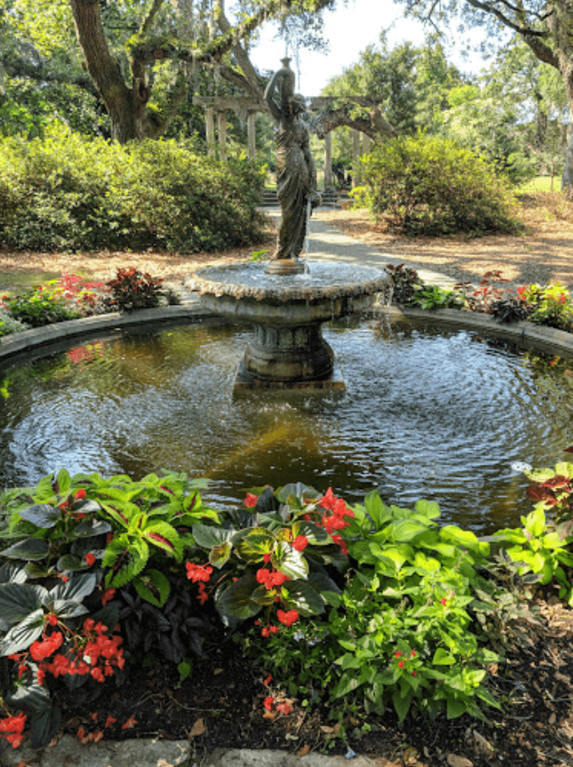 Airlie Gardens es uno de los jardines principales de la costa sur. Cuenta con 67 hectáreas de senderos para caminar, jardines formales, flores de temporada, estructuras históricas y esculturas contemporáneas. Dirección: 300 Airlie Rd, Wilmington, NC 28403.