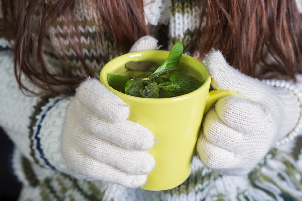 Hay suplementos herbales para aliviar los síntomas, pero son pocos cuya efectividad está científicamente comprobada. El ginseng, por ejemplo, puede ayudar a mejorar los cambios de humor y los problemas para dormir,
<a href="https://www1.nichd.nih.gov/espanol/salud/temas/menopause/informacion/Pages/preguntas.aspx#hierbas">según el Instituto Nacional de la Salud Infantil y Desarrollo Humano Eunice Kennedy Shriver</a>.