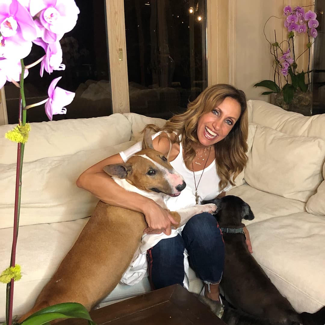 <b><a href="https://www.univision.com/entretenimiento/lili-estefan-pide-ayuda-en-instagram-para-encontrar-a-su-perro-fotos">Lili Estefan sufrió, nuevamente</a></b>, la desaparición de una de sus mascotas.