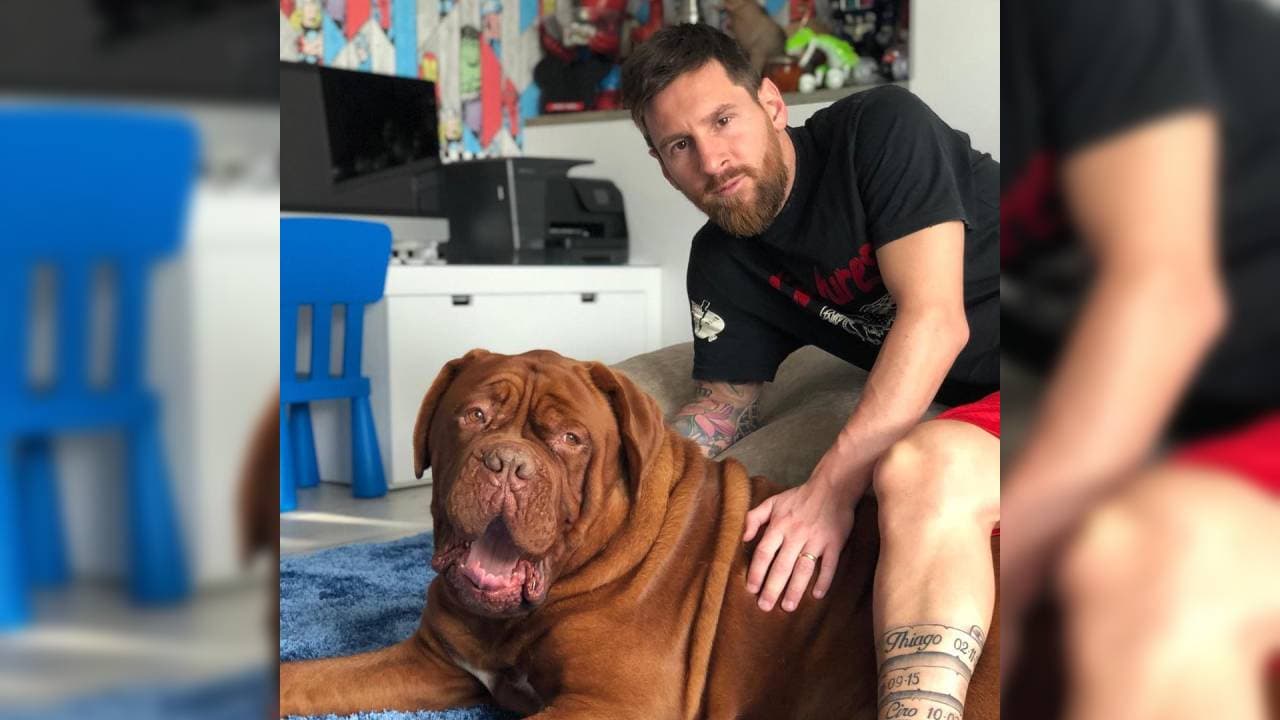 Es un dogo de Burdeos y no ha sido la única mascota de Messi.