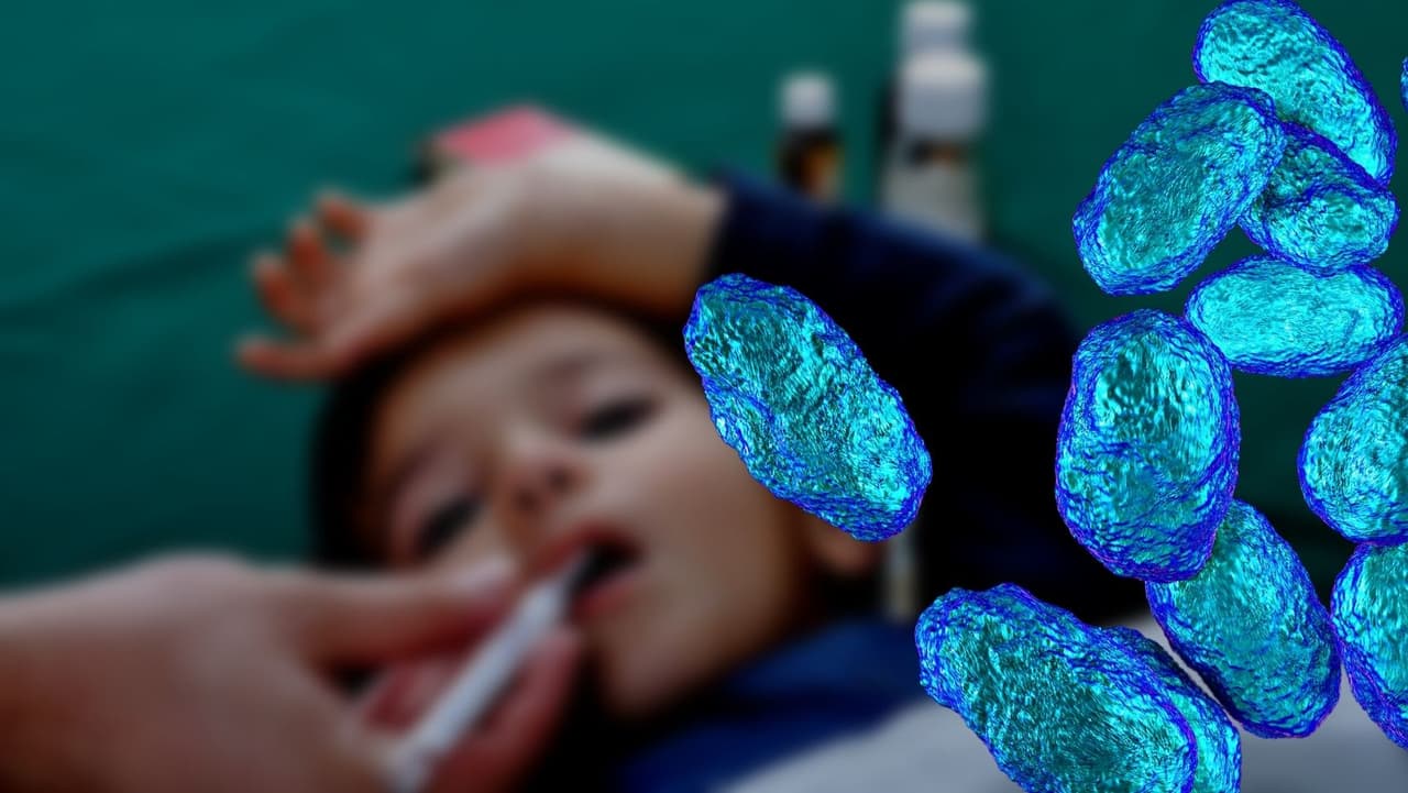Atención padres: emiten aviso de salud por infecciones por bacteria en niños