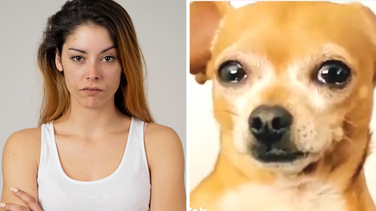 Perritos lloran mar de lágrimas al ser regañados y el video es increíble: "Ya no los quiero"