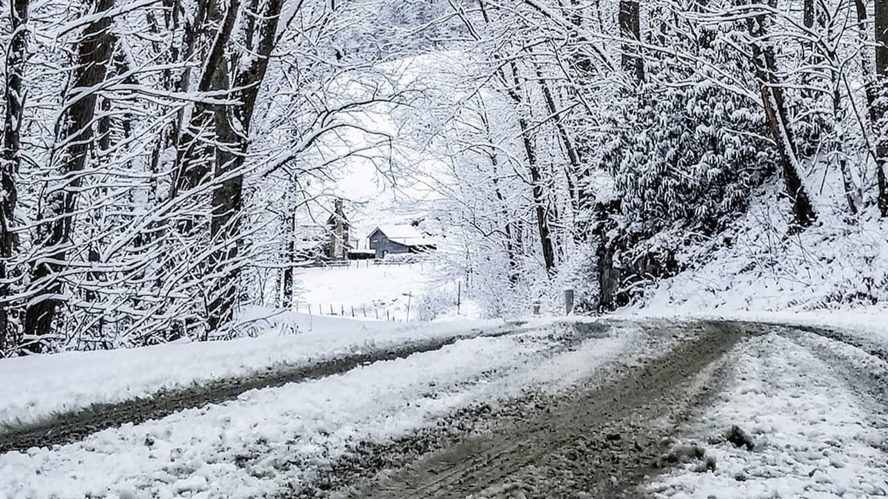 Así se vive la primera nevada de 2020 en las montañas de Carolina del Norte