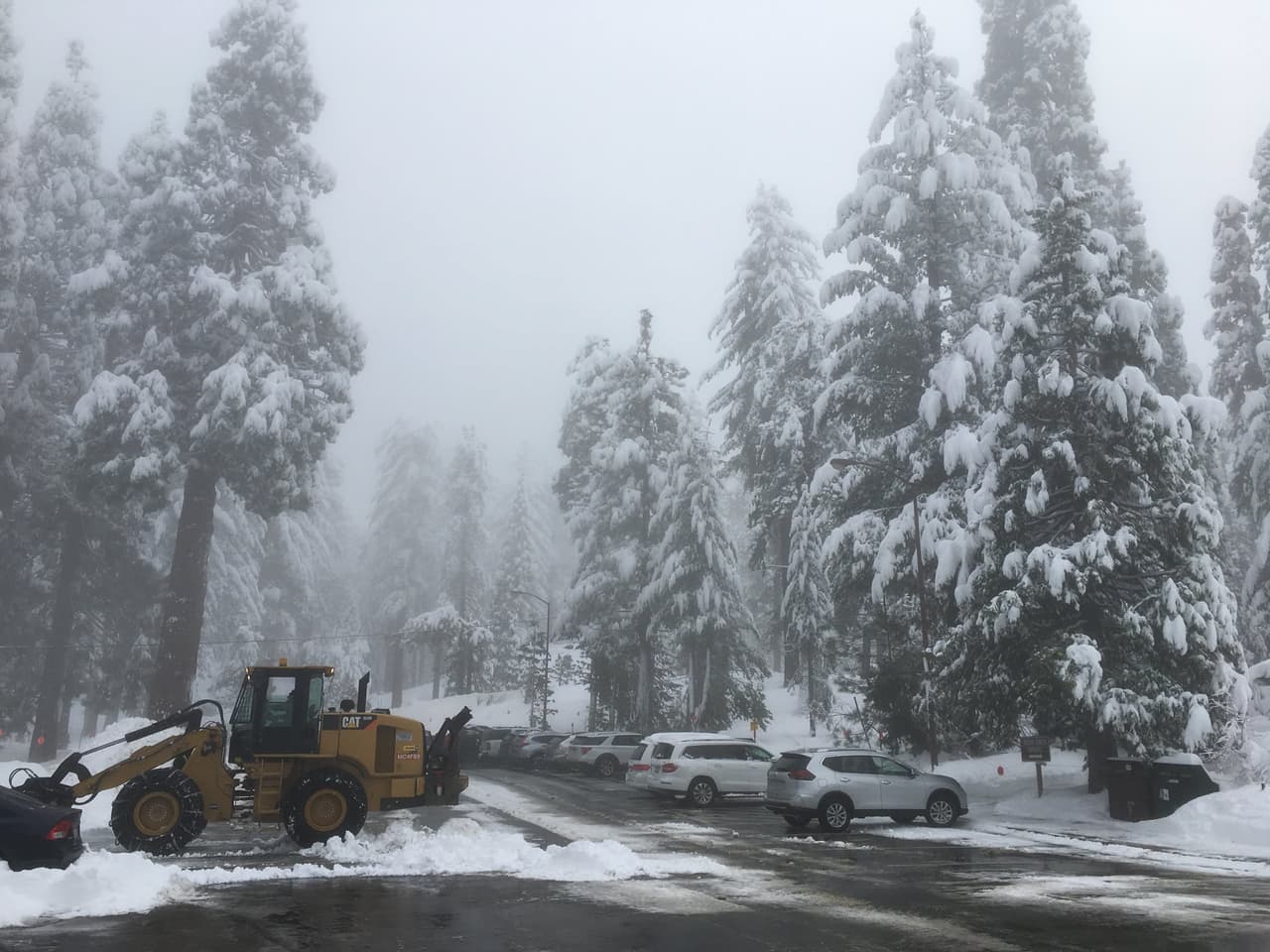 La majestuosidad del paseo emociona y cada parada se convierte en locación obligada para fotos memorables.