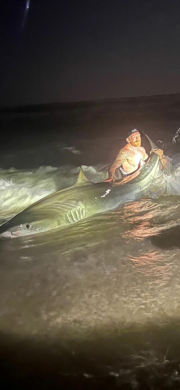En un primer momento, Haltermann pensó que era un “monstruo” de pez porque tiraba como un camión decía. Después de dos horas y media de lucha, le tocó enviar a su hijo a buscar ayuda con alguno de los bañistas de la zona. Las personas lo retuvieron y acercaron a la playa, mientras Haltermann lo atrapaba con unas sogas por las aletas traseras.