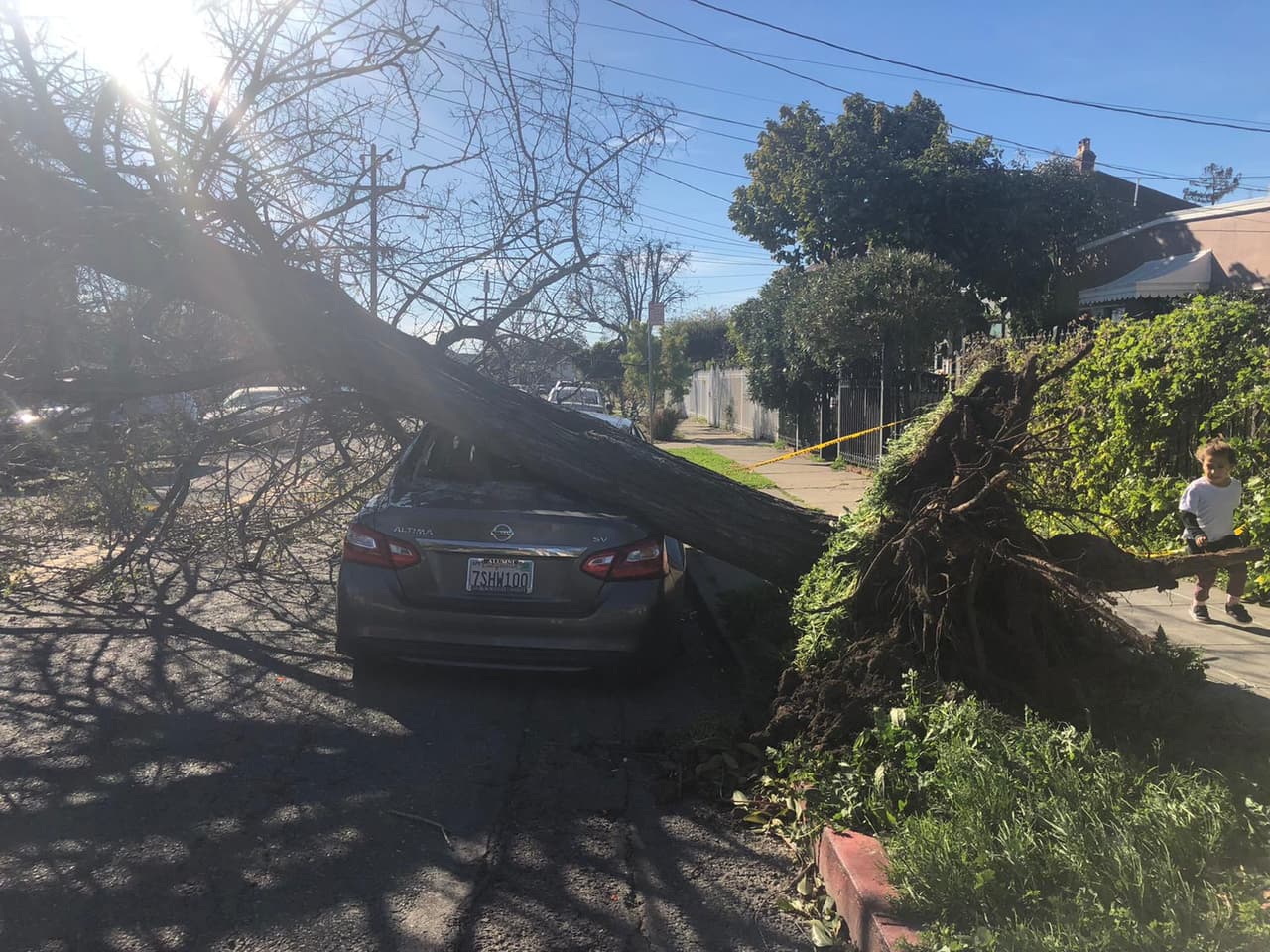 Vecinos de esa zona, cerca del barrio Fruitvale, señalaron que la mañana los sorprendió con múltiples árboles caídos en las calles aledañas. Hasta la mañana del sábado, las autoridades no habían removido los escombros y solo colocaron cinta amarilla para alertar a los conductores.
