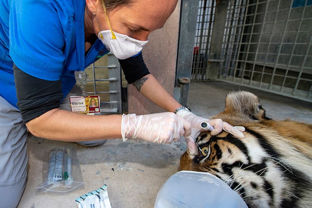Puede tratarse desde alergias hasta un resfriado común.
<br>