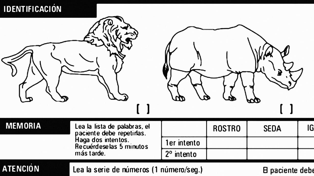 ¿Pasarías el test de salud mental que Donald Trump pidió que le hicieran?