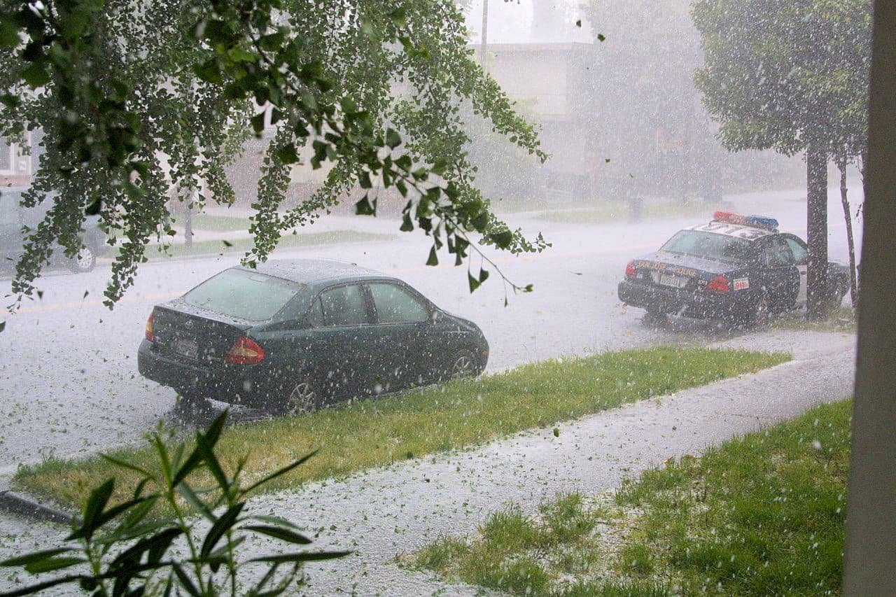 Históricamente febrero ha sido el mes en el que el Área de la Bahía ha registrado nevadas.