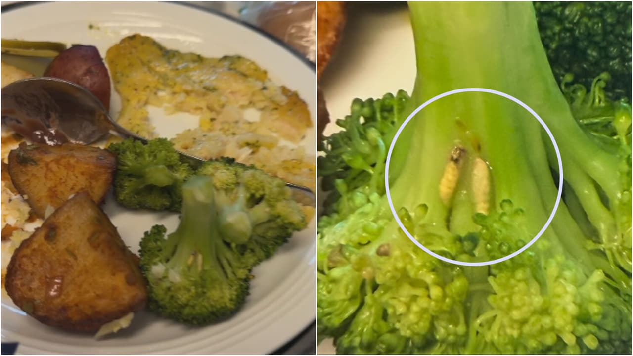 “Un asco horrible”: paciente denuncia que le dieron comida con larvas en un hospital de Miami