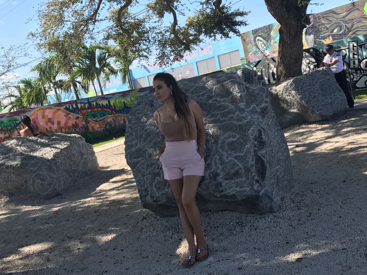 Una piedra en el camino…