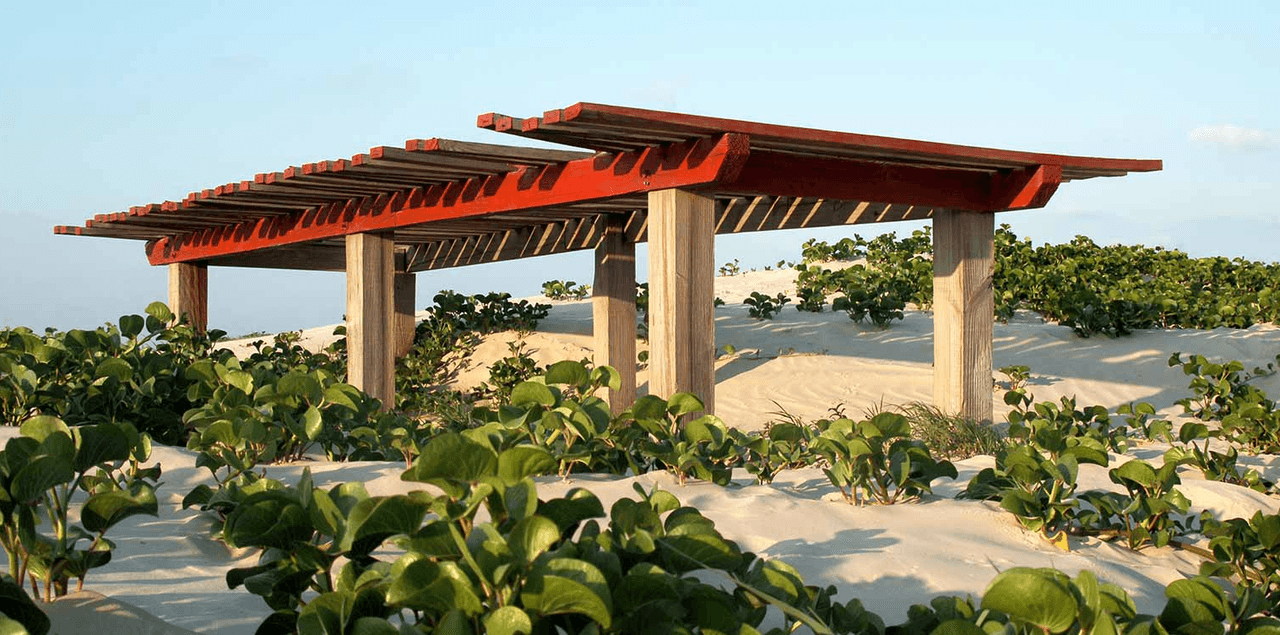 <b>Mustang Island: </b>Con más de cinco millas de costa, Mustang Island
<b> </b>permite que los visitantes se diviertan bajo el sol, manteniendo la sana distancia. Es uno de los sitios favoritos para los texanos durante el Spring Break para disfrutar de playas y actividades acuáticas, pero también es un lugar para ver aves, ir de pesca a la bahía o hacer recorridos a pie.