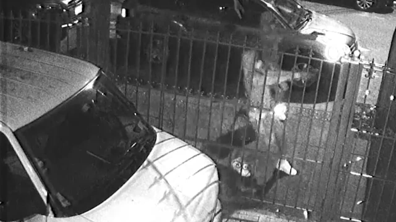 Hombres abren fuego durante vigilia por dos adolescentes asesinados en tiroteo en Brooklyn