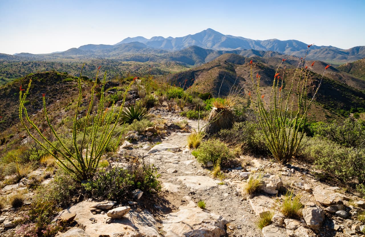 <b>Puesto 18. Condado de Cochise, Arizona </b>
<br>
<br>Porcentaje del condado con sequía extrema o excepcional (12 de julio de 2021): 100.0%.
<br>
<br>Semanas con 100% de sequía excepcional en el último año: 13.
<br>
<br>Semanas con al menos un 50% de sequía excepcional en el último año: 33.
<br>
<br>Número de semanas consecutivas con cualquier porcentaje de sequía extrema o excepcional: 46 (del 25 de agosto de 2020 al 12 de julio de 2021).
<br>
<br>Población: 125,867 habitantes.
<br>
<br>En el estado de Oregon los datos de la humedad del suelo, el caudal de los arroyos y las precipitaciones indican que las condiciones de sequía están entre las peores desde 1895.
<br>