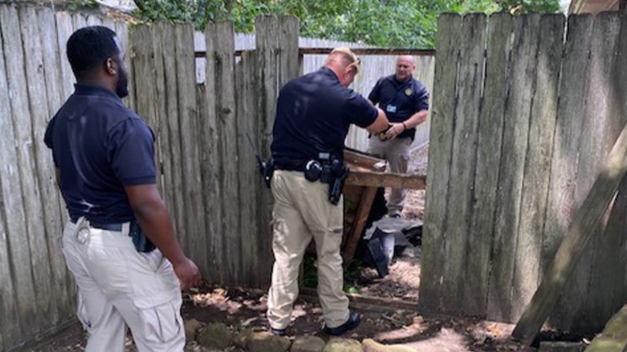 Las autoridades indicaron que durante el arresto varias viviendas fueron afectadas. Los oficiales regresaron más tarde al área para reparar algunas de las cercas averiadas.