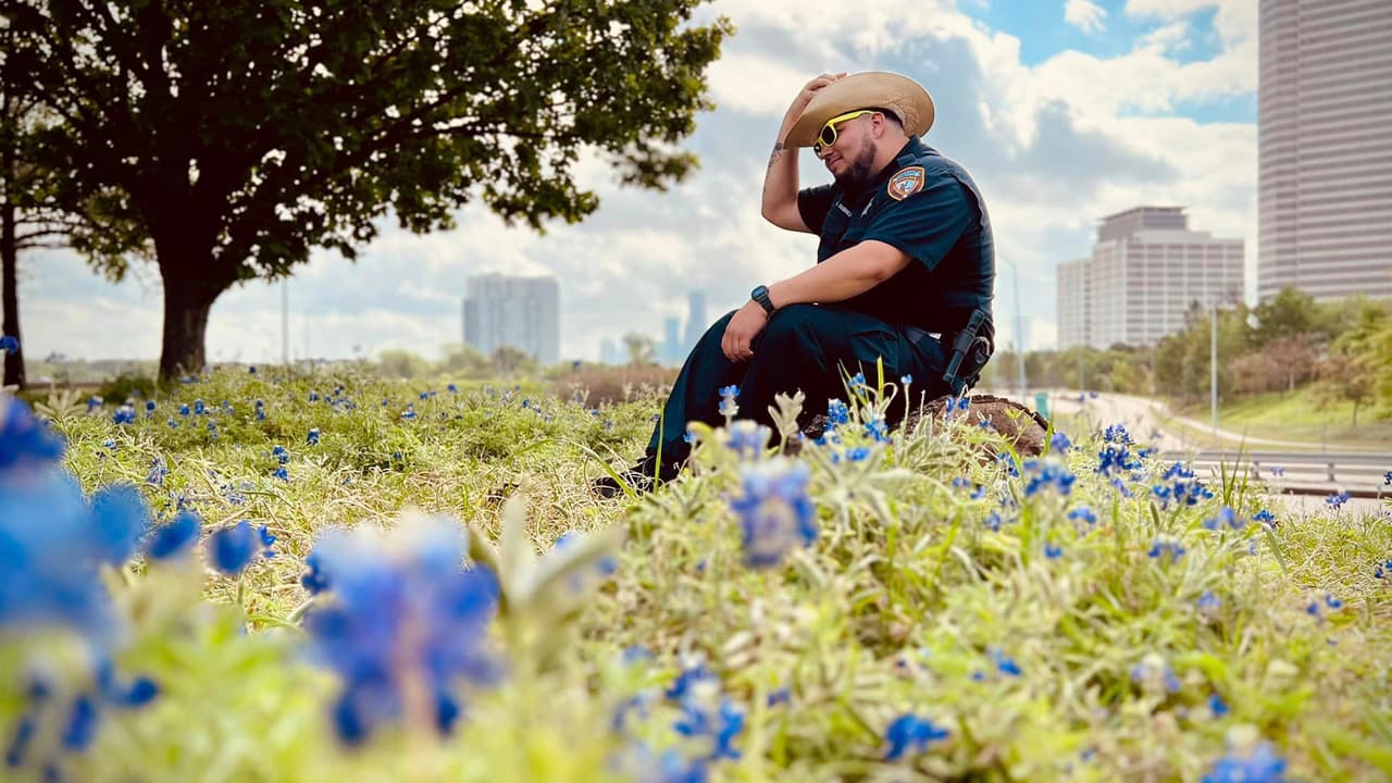 <b>Los Bluebonnets son flores que crecen a finales de febrero y abril.</b>