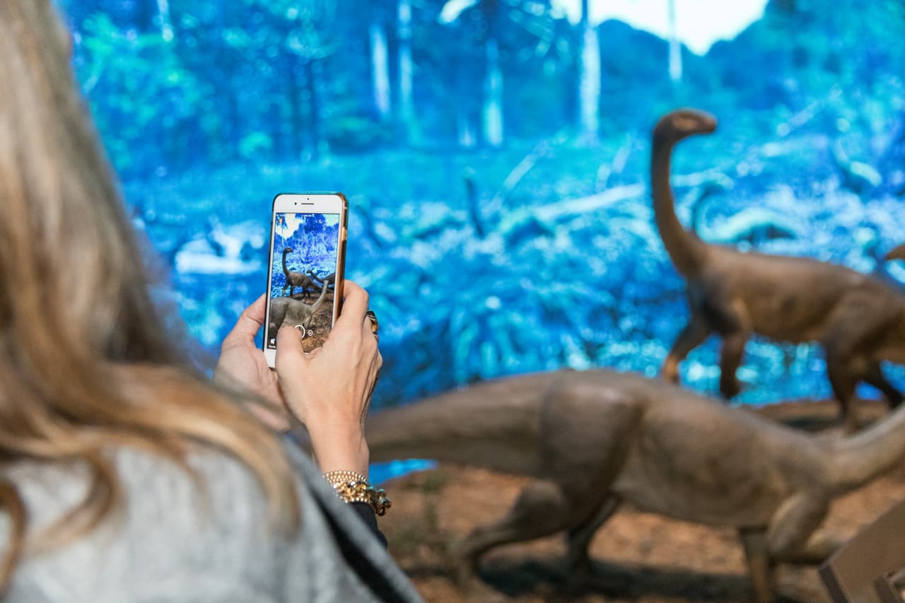 Esta exposición la podrás disfrutar tanto en inglés como en español y estará abierta al público hasta el 5 de enero de 2020 en el Museo de Historia Natural de Los Ángeles.