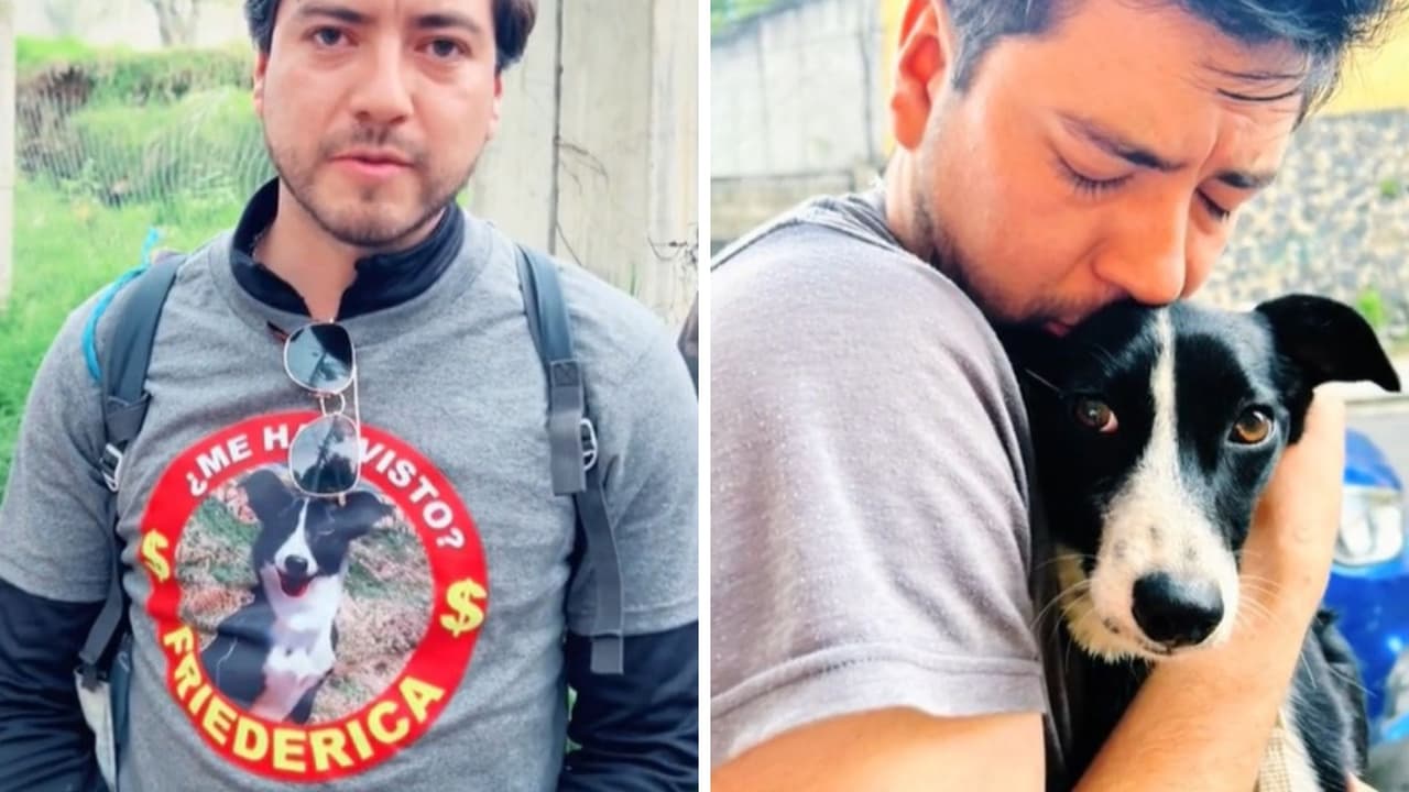 Perrita se pierde un mes y se reúne con su familia tras ardua búsqueda: no perdieron la esperanza