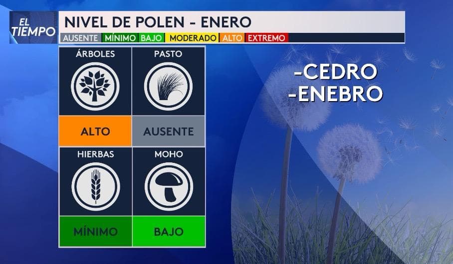 🚨 Nivel de polen en enero: ALTO por cedro y enebro.