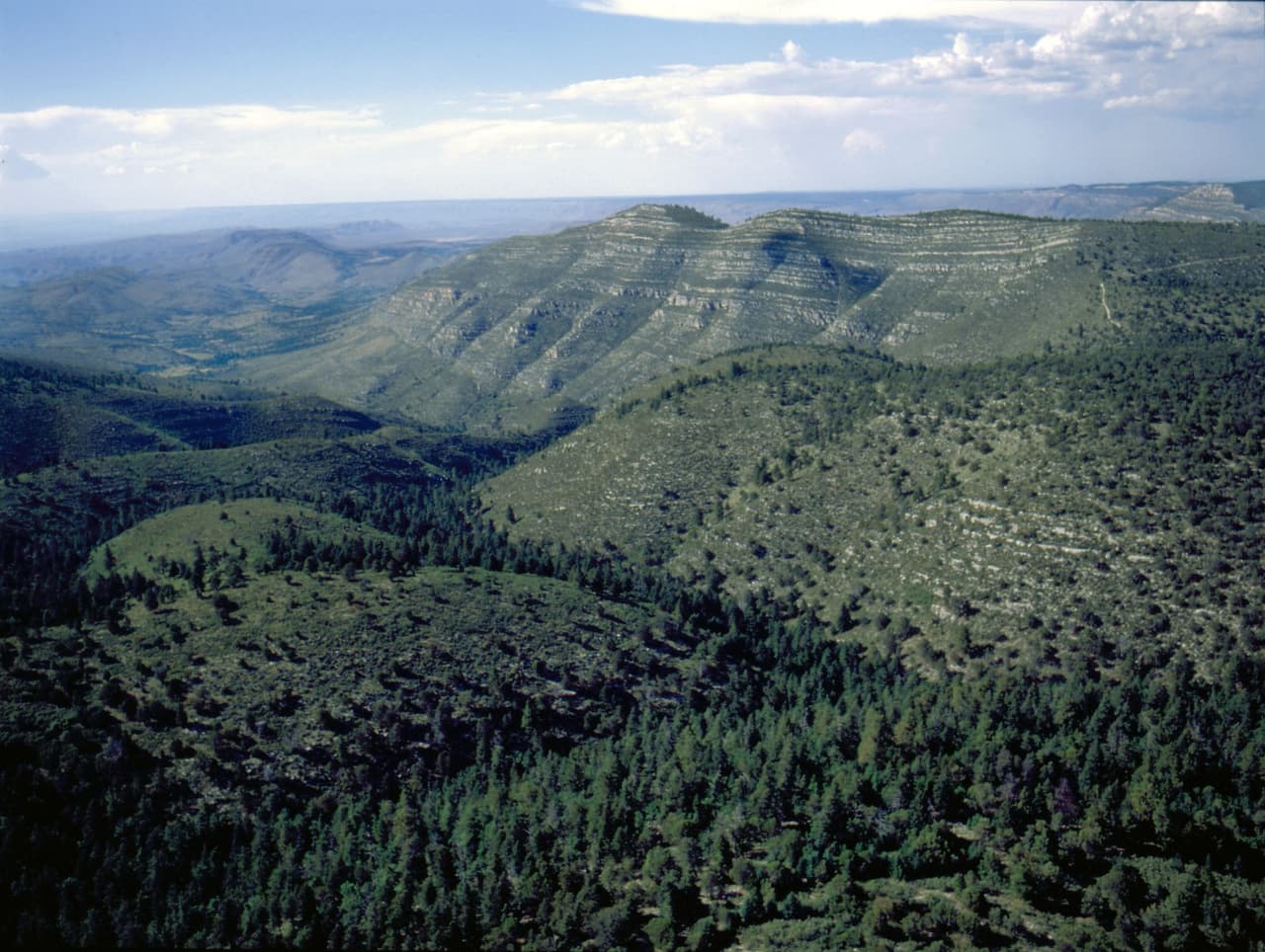 Las Montañas de Guadalupe son el único lugar del oeste de Texas que están
<b>legalmente protegida como uno de los últimos parques verdaderamente silvestre.</b>